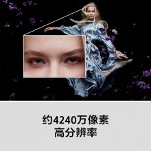 索尼 （SONY）A7R3/全画幅微单数码相机 （含镜头） 专业数码单反